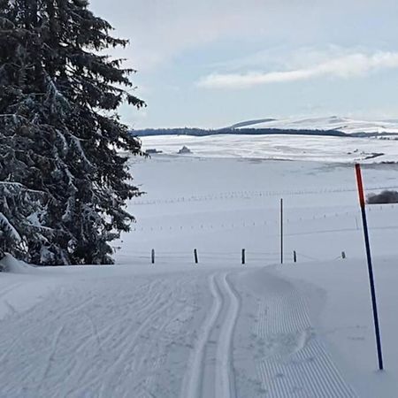 Appartement 6 Personnes Au Coeur De Super Besse Exterior foto
