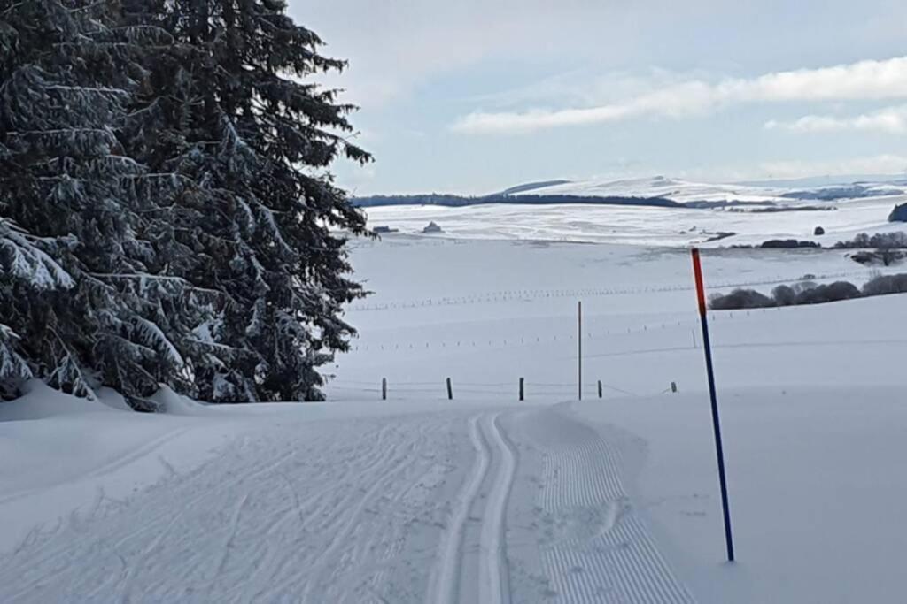 Appartement 6 Personnes Au Coeur De Super Besse Exterior foto
